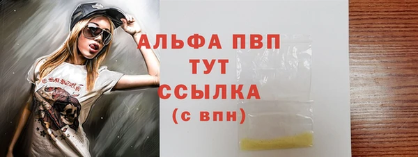 спиды Зеленокумск