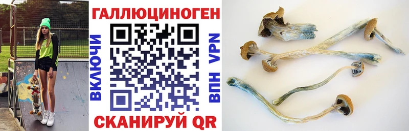 Галлюциногенные грибы Cubensis  Купить закладки  Обоянь 